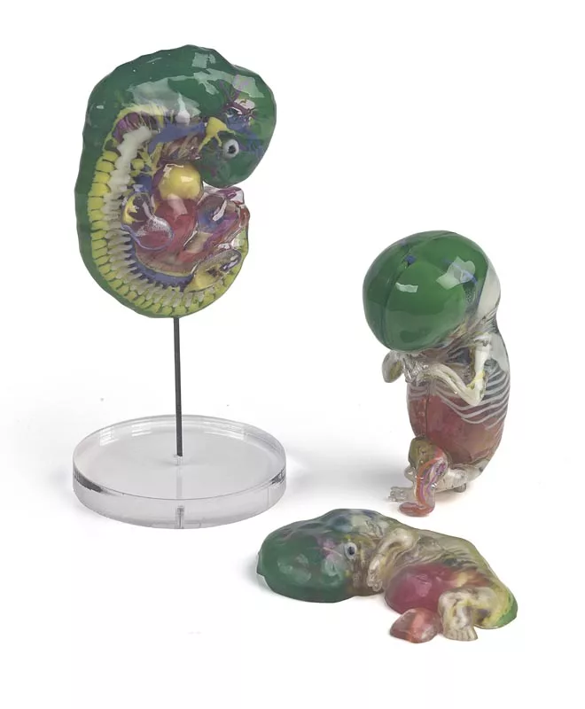 Embroymodelle im PolyJet