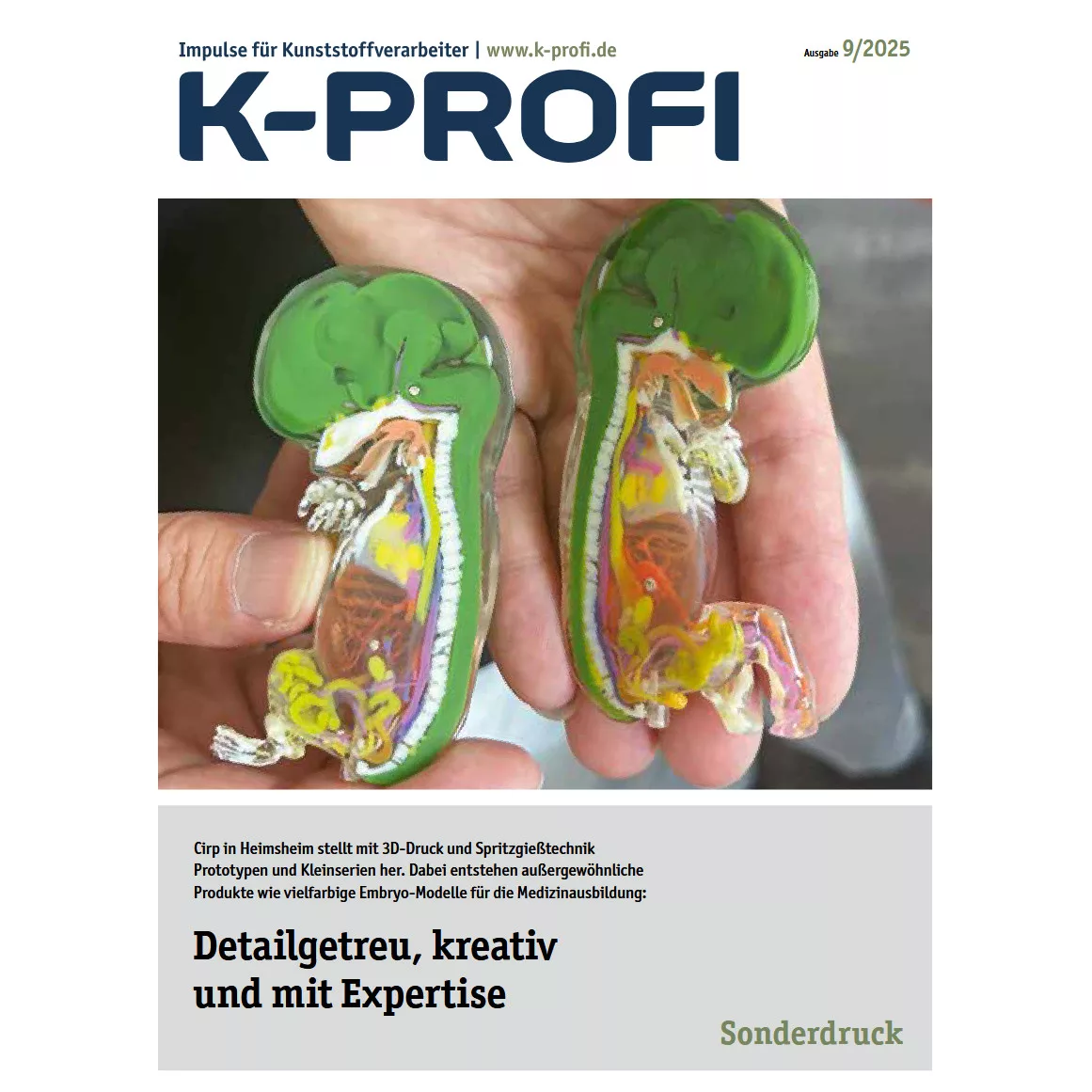 K-Profi: Detailgetreu, kreativ und mit Expertise